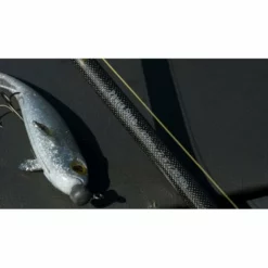 Fox Rage Terminator Casting Canne Big Bait Special 240cm 200g 24 Fox Rage Terminator Casting Canne Big Bait Special 240cm 200g -Accessoires Soldes Boutique dsc05009 550x550w