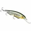 Strike King KVD Deep 300 Jerkbait 12cm Perche Fantôme -Accessoires Soldes Boutique hckvdj300d 464 550x550 1