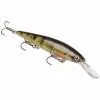 Strike King KVD Deep 300 Jerkbait 12cm Perche Jaune -Accessoires Soldes Boutique hckvdj300d 680 550x550 1